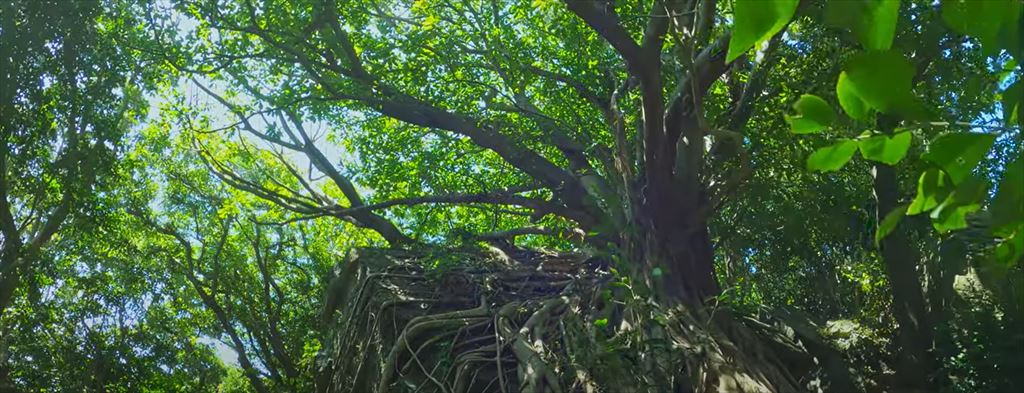 西平椿公園