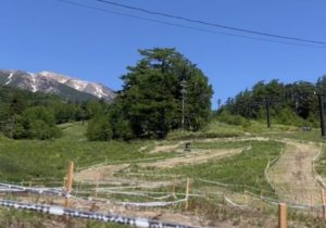 コースは気分やスキルによって選べる